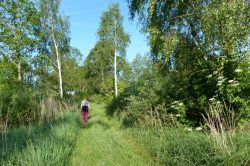 Feldweg beim Lomizil