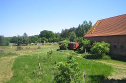 Blick über den Garten