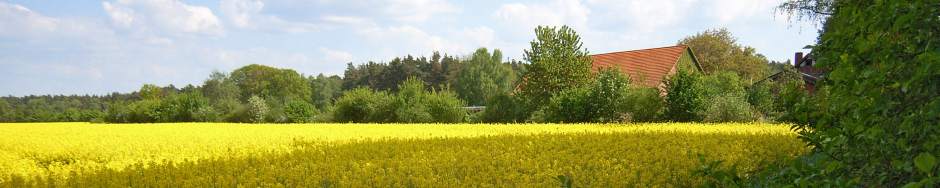 Ferien-Wohnung Lomitz