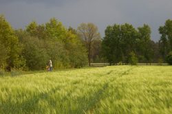 Das Gewitter zieht näher