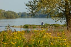 Angler an der Elbe