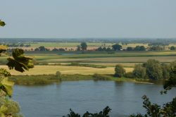 Blick über die Elbe