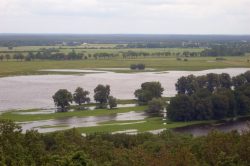 Hochwasser an der Elbe