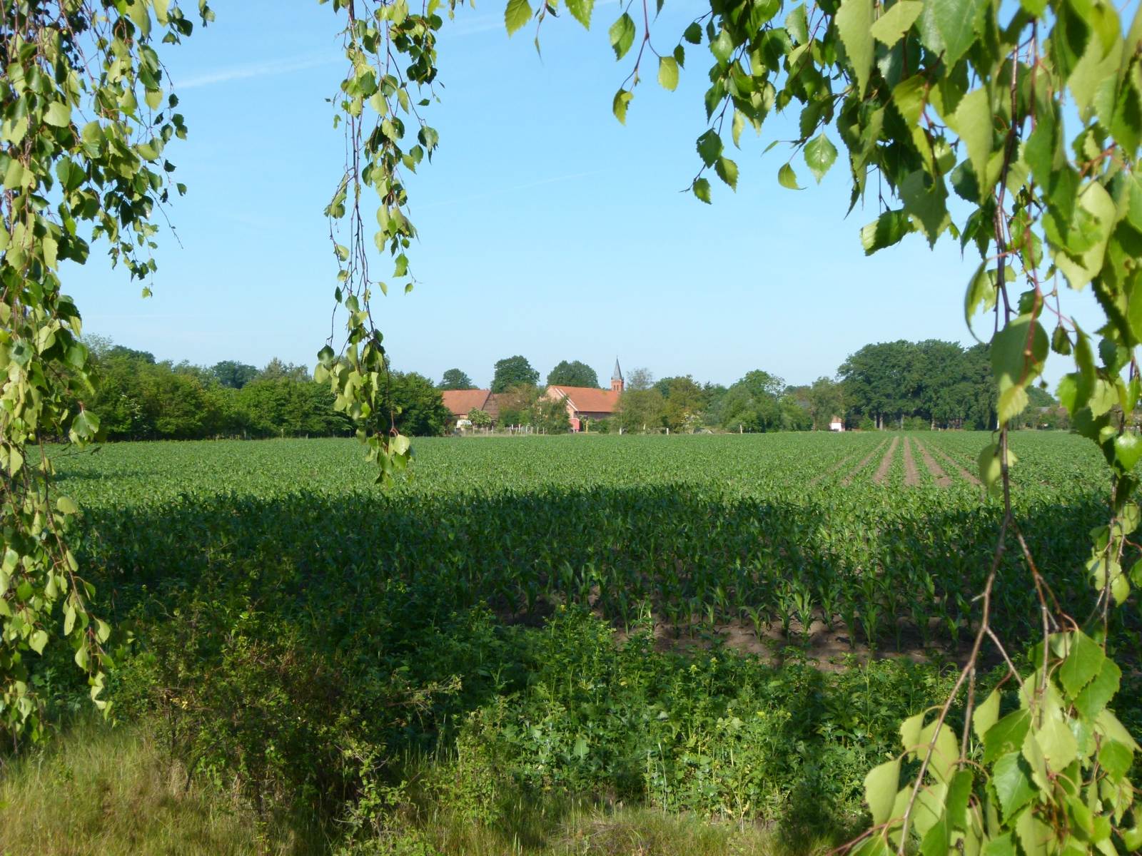 Lomizil und Wendland-Hof