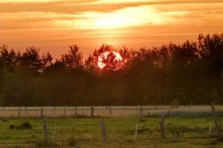 Sonnenuntergang über Weide